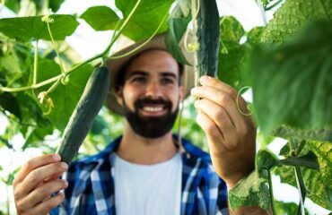 organic4 organic4