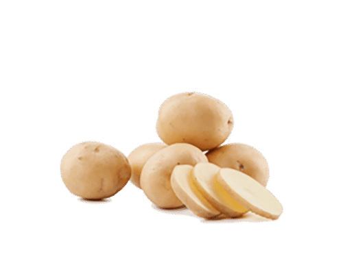 h3-product8 h3-product8